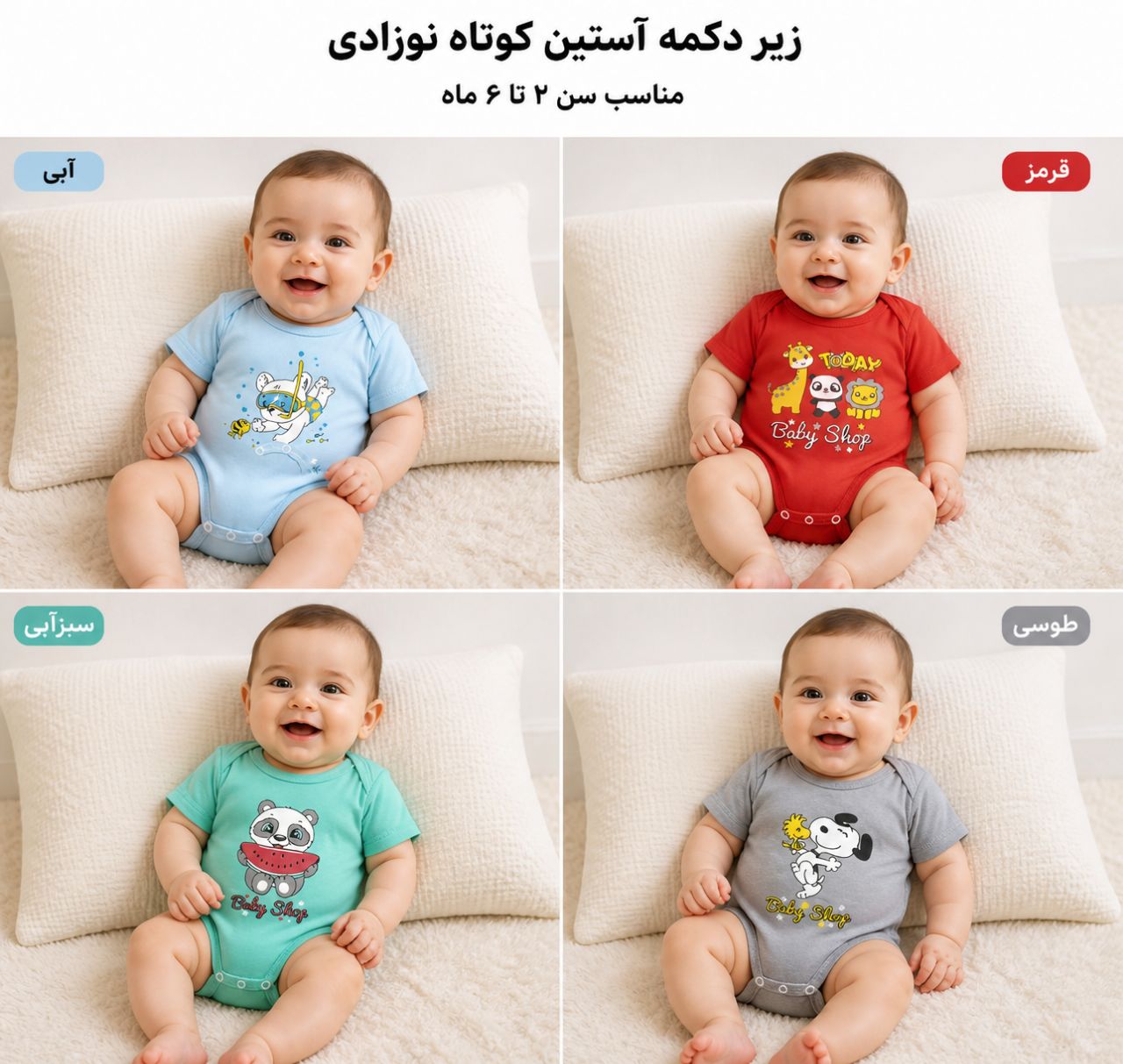 زیر دکمه نوزدای عمده 12 تایی